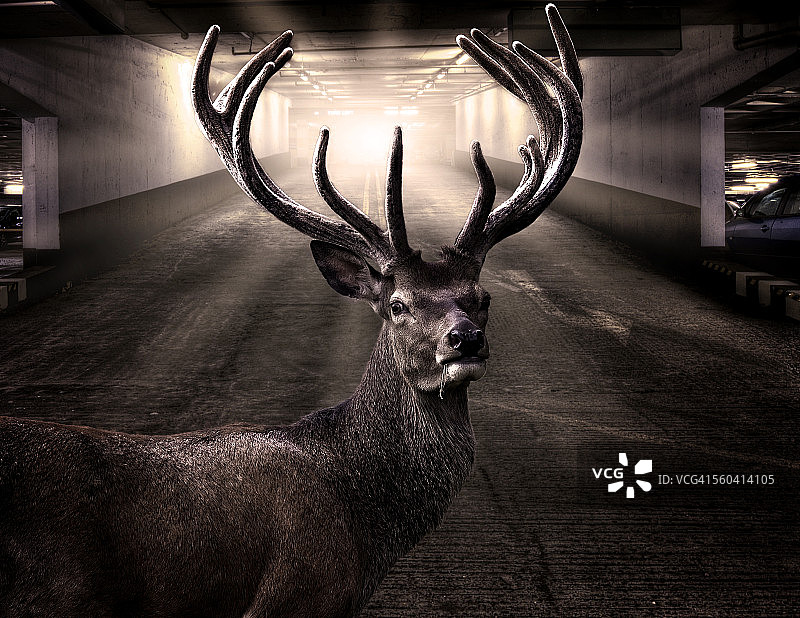 走错公园了图片素材