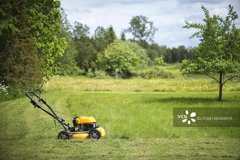 花园里的割草机图片素材
