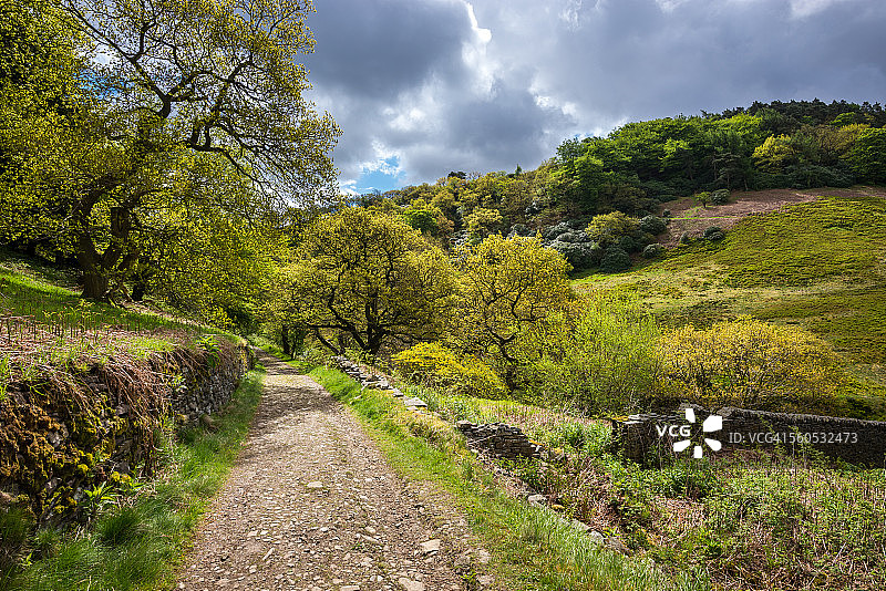 戈伊特山谷的春日阳光图片素材