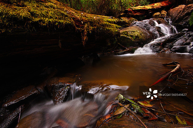 丹德农的宁静图片素材