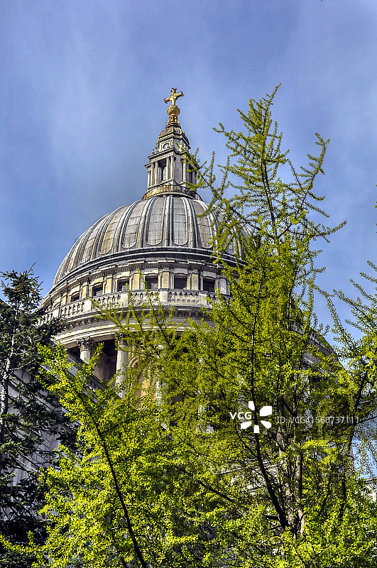 圣保罗大教堂与绿植图片素材