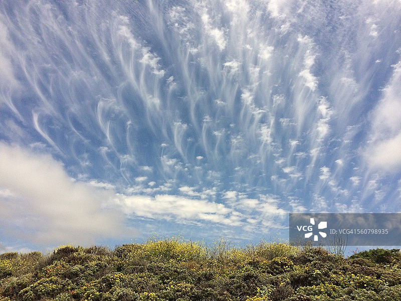 清洁刷和天空图片素材