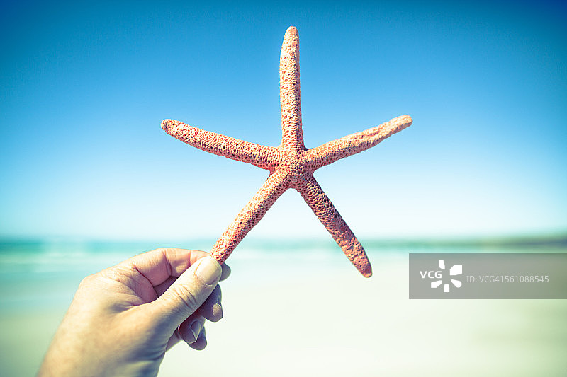 在海滩上手持红色海星图片素材
