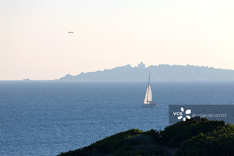 游艇、海鸥和蓝色大海图片素材