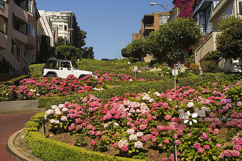 美国加利福尼亚州旧金山伦巴第街的低角度视图图片素材