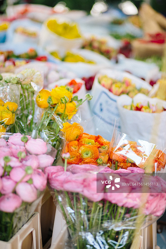 纳施市场上的毛茛图片素材