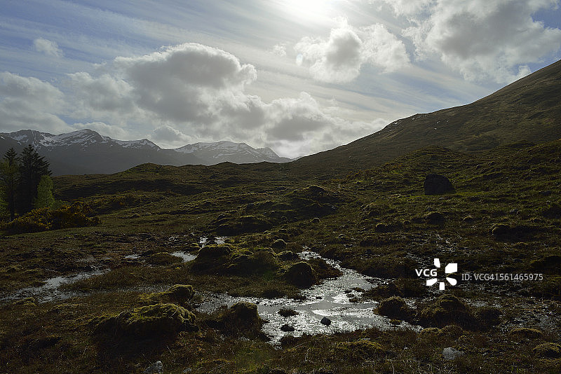在荒野中漫步图片素材