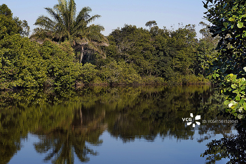 热带雨林和湖泊图片素材