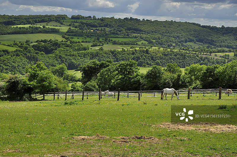 诺曼瑞士（瑞士诺曼底）图片素材