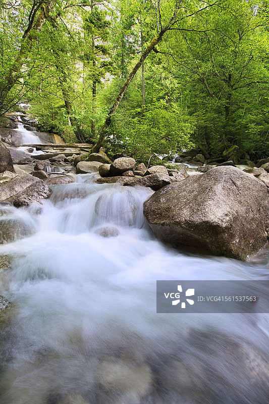 不列颠哥伦比亚省的小溪图片素材