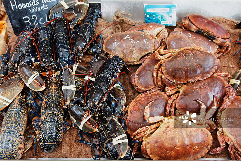 特鲁维尔海鲜市场上的海鲜展示图片素材