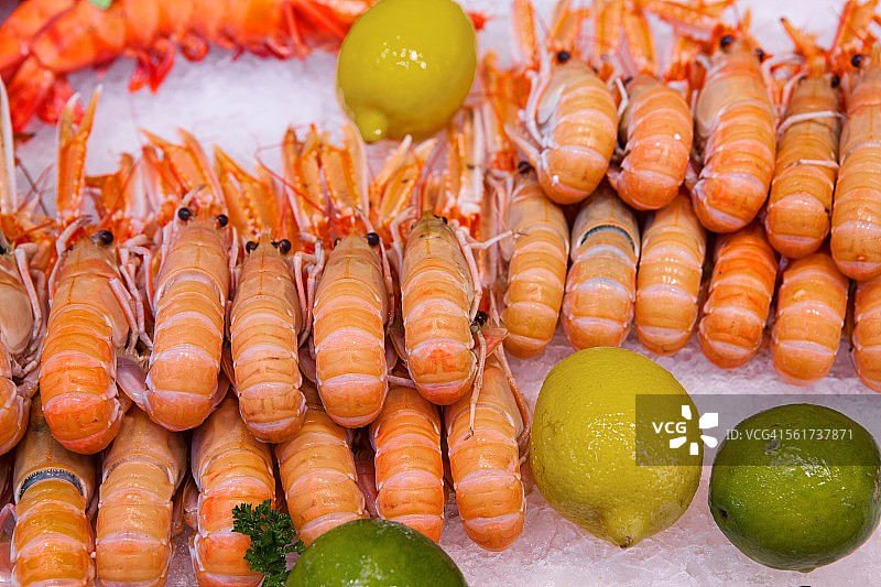 特鲁维尔海鲜市场的虾图片素材