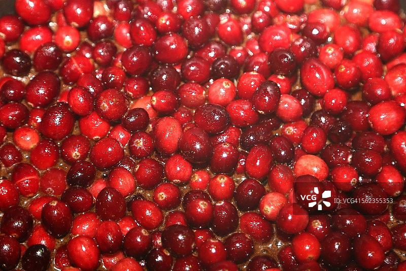 新鲜蔓越莓果图片素材