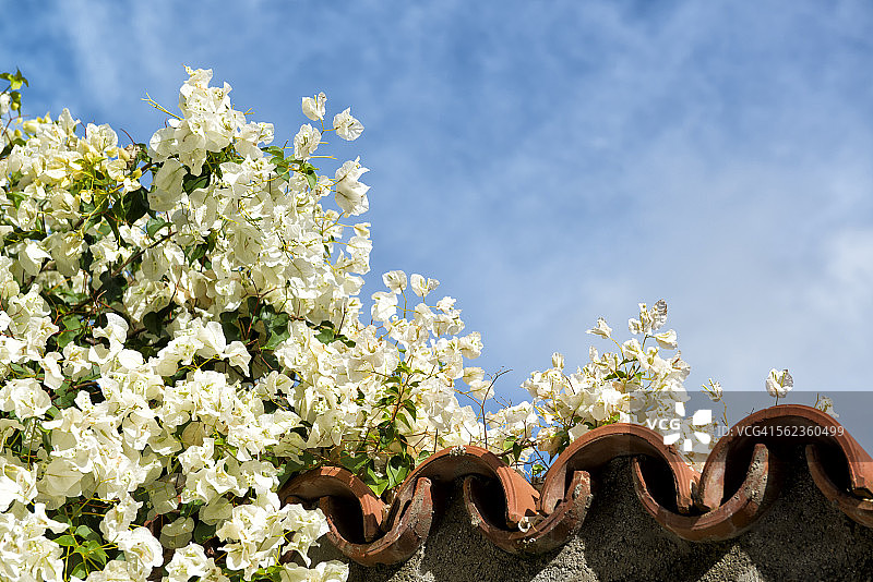 塞浦路斯的12月图片素材