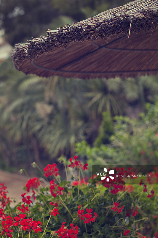 稻草伞图片素材