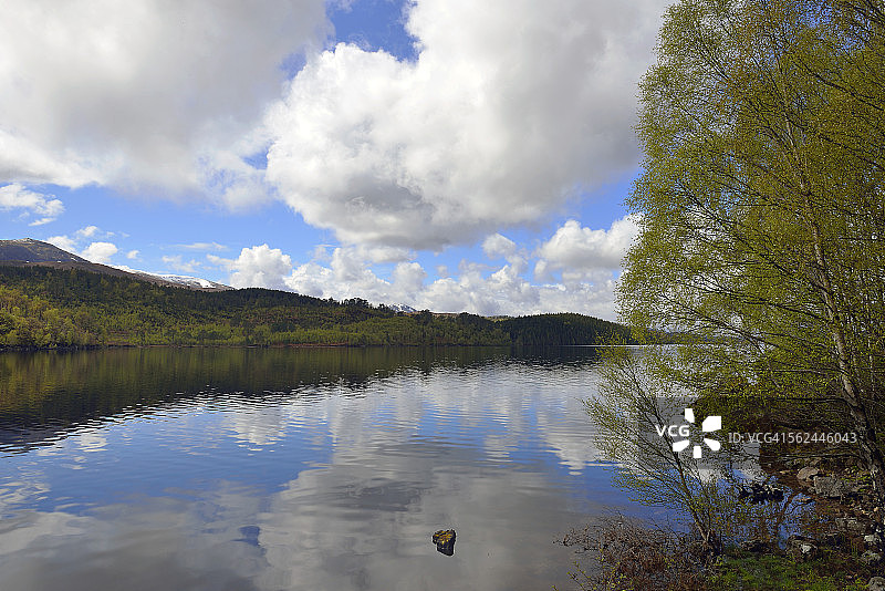 白色舰队来了图片素材
