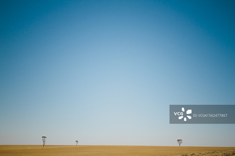 西澳大利亚内陆田野中的三棵树图片素材