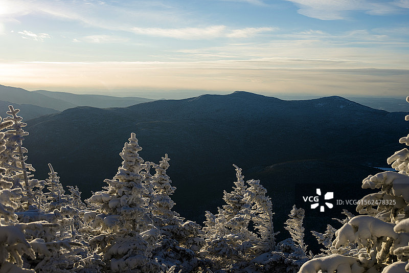 雪覆盖的树木图片素材