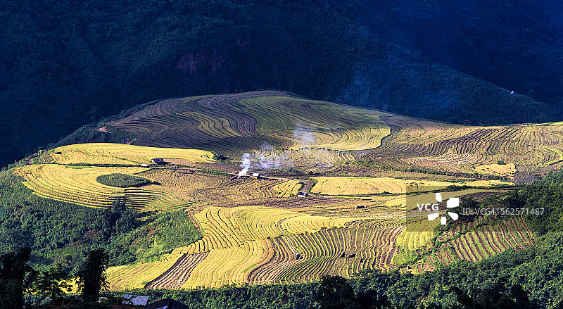 山上的稻田图片素材