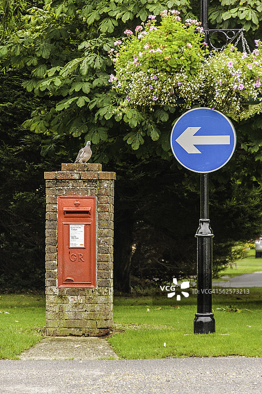 小鸟和红色盒子信件图片素材