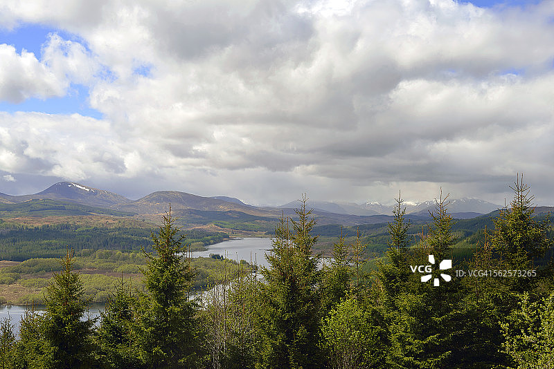 像响尾蛇一样移动图片素材