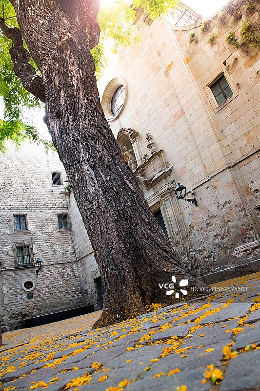 巴塞罗那圣费利普内里教堂与鲜花图片素材