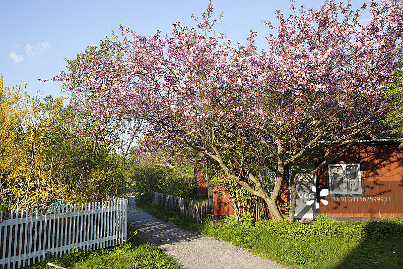 春季花园木屋图片素材