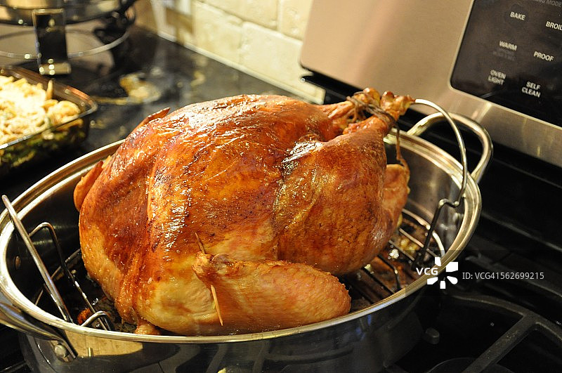 感恩节火鸡图片素材