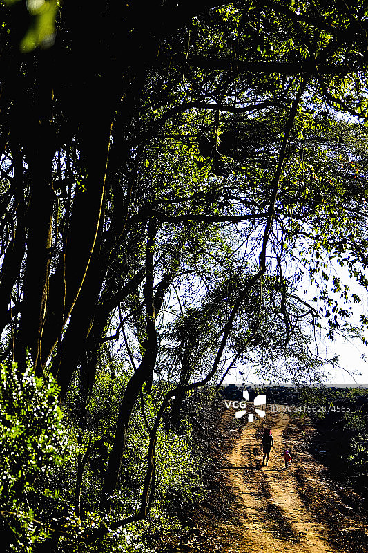 母亲和孩子走在Fundudzi营地附近的路上，非洲象牙之路，林波波图片素材