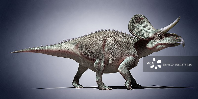 恐龙插画图片素材