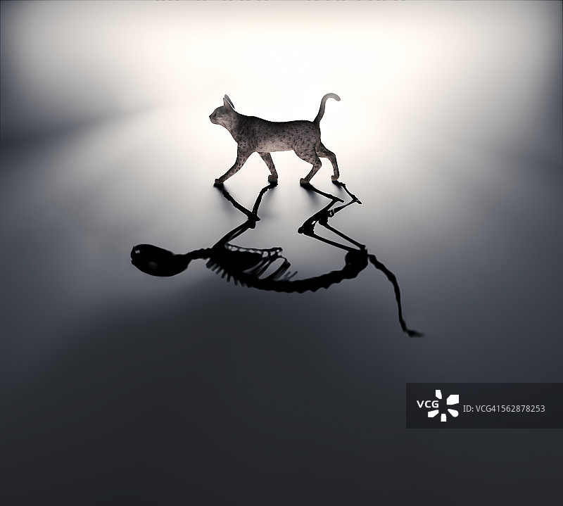 薛定谔的猫插图图片素材