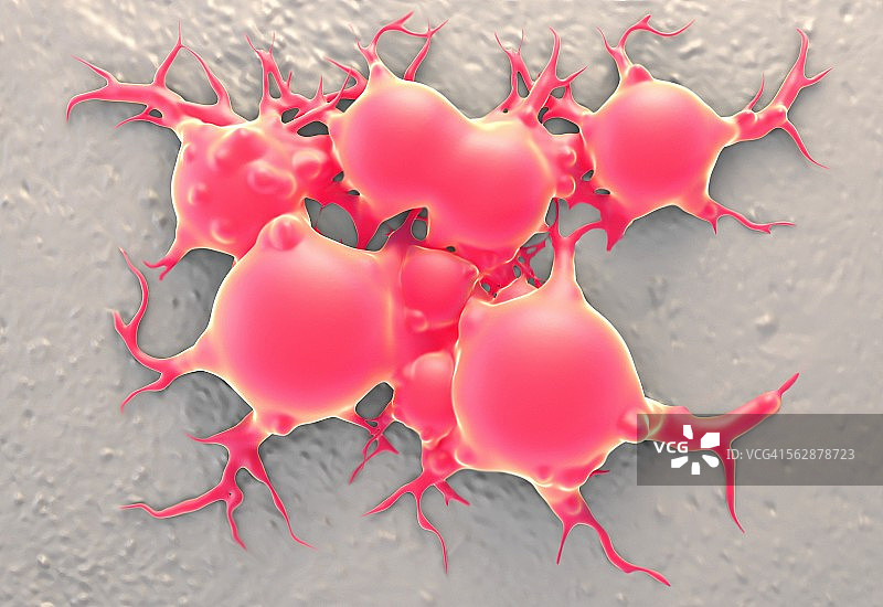 脂肪细胞图图片素材