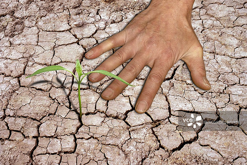 龟裂土地上的幼苗和手图片素材