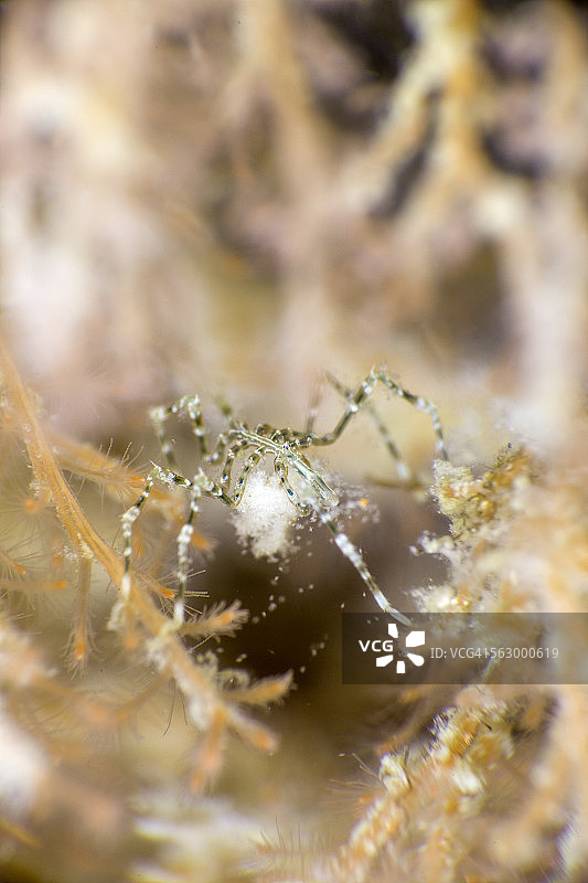 自由落体图片素材