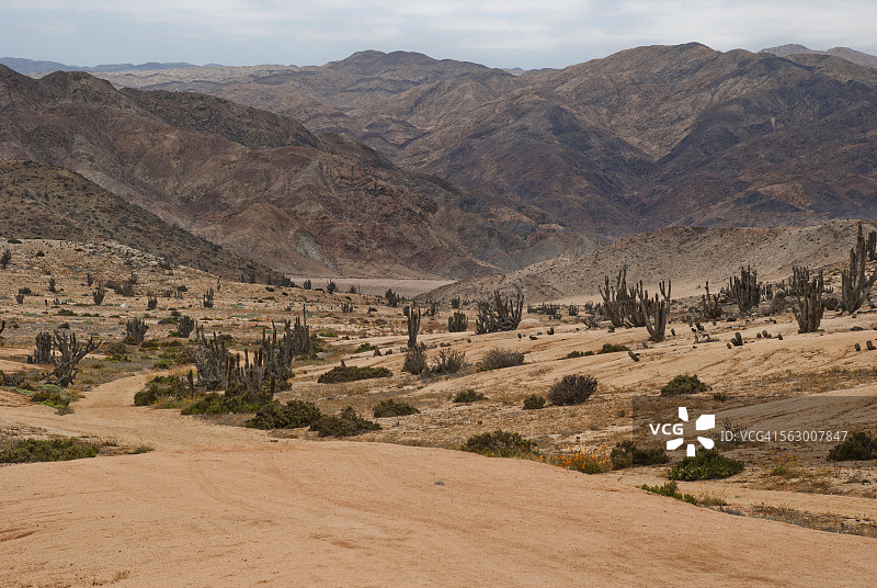 潘德阿苏卡国家公园图片素材