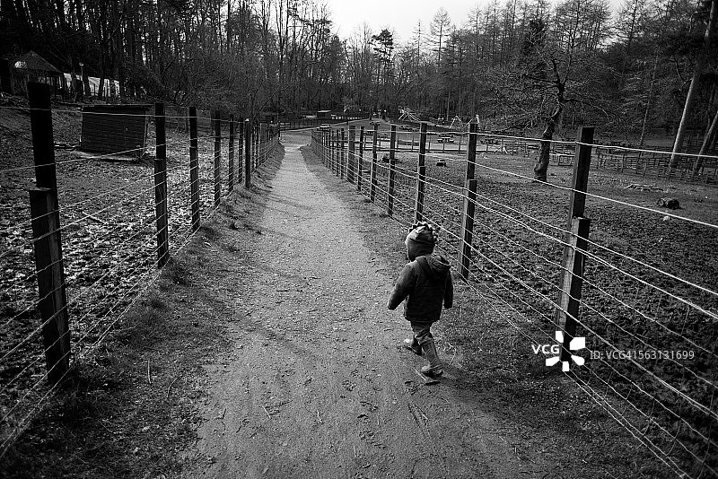 乡村公园里的男孩图片素材