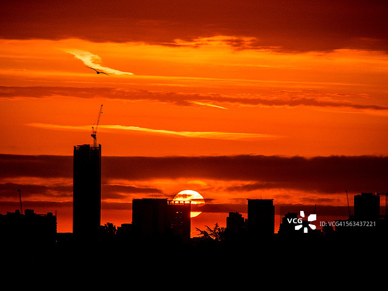 鸟与克罗伊登天际线日出 I图片素材