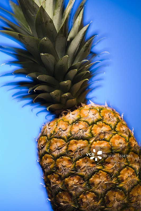 菠萝特写图片素材