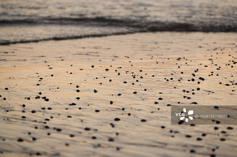 从高处拍摄的水边，美国加利福尼亚州圣地亚哥海洋海滩图片素材