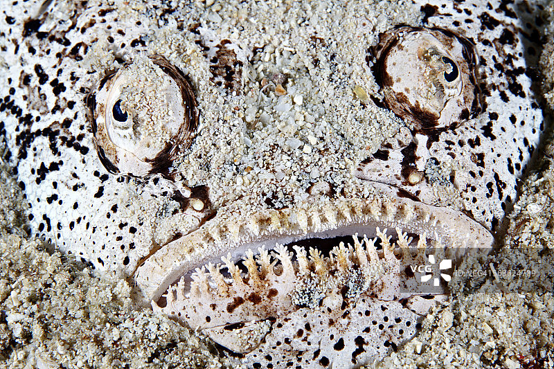 观星者图片素材