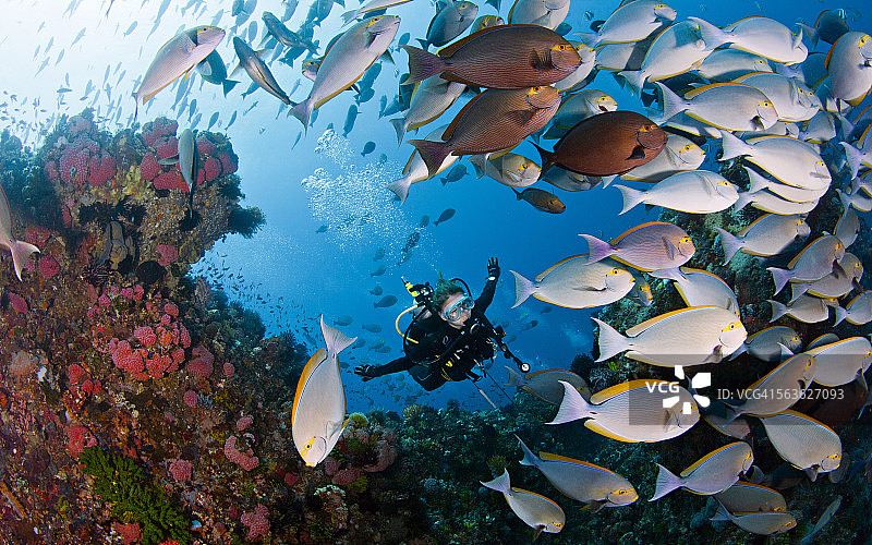 焦点之星图片素材