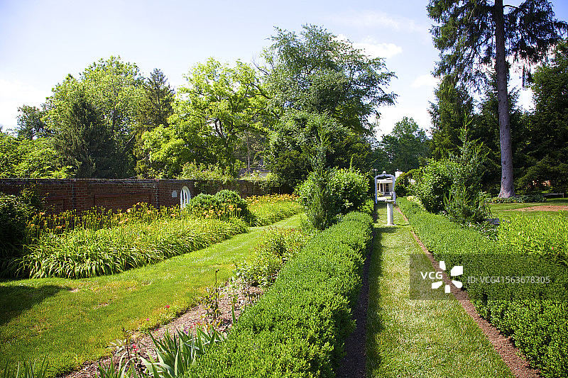 新泽西州的草坪、灌木和多年生植物图片素材
