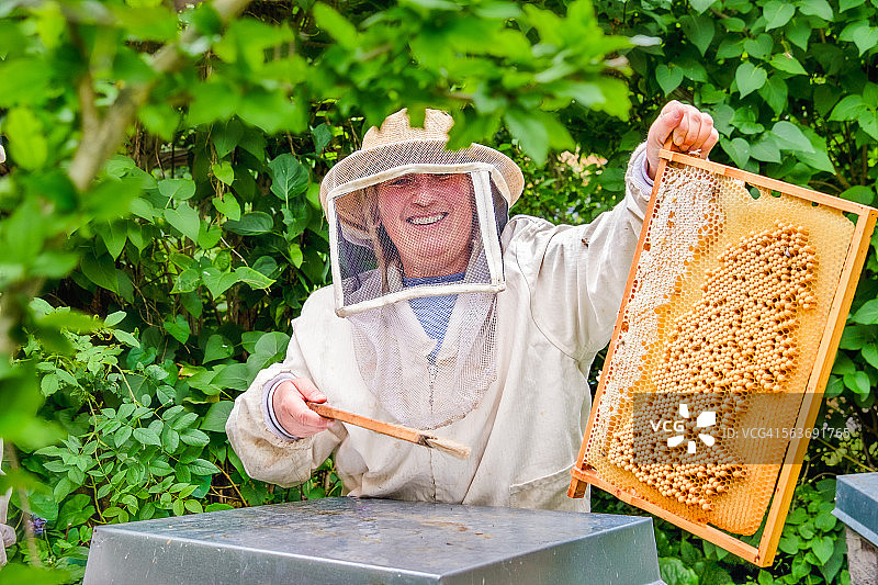工作中养蜂女图片素材