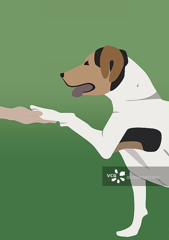 小狗与人握手的侧面像图片素材