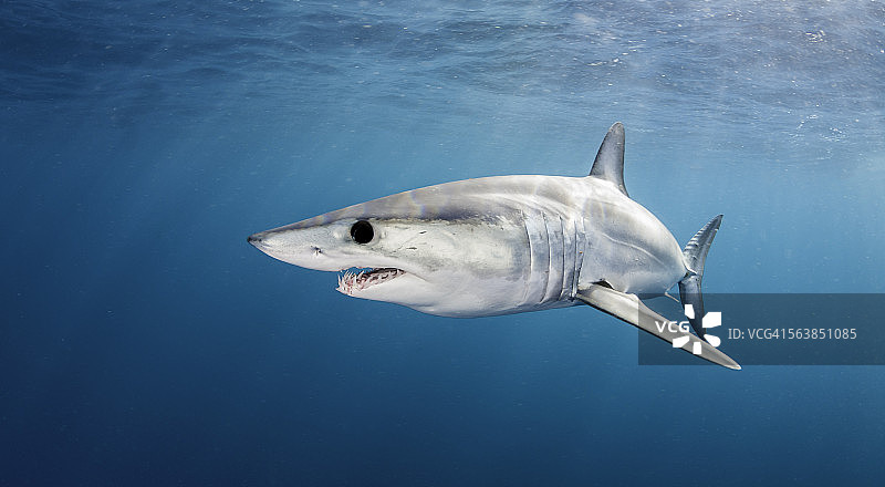 头部倒影图片素材