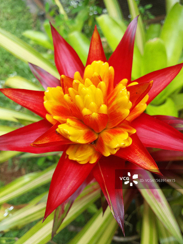 本月最佳图片素材