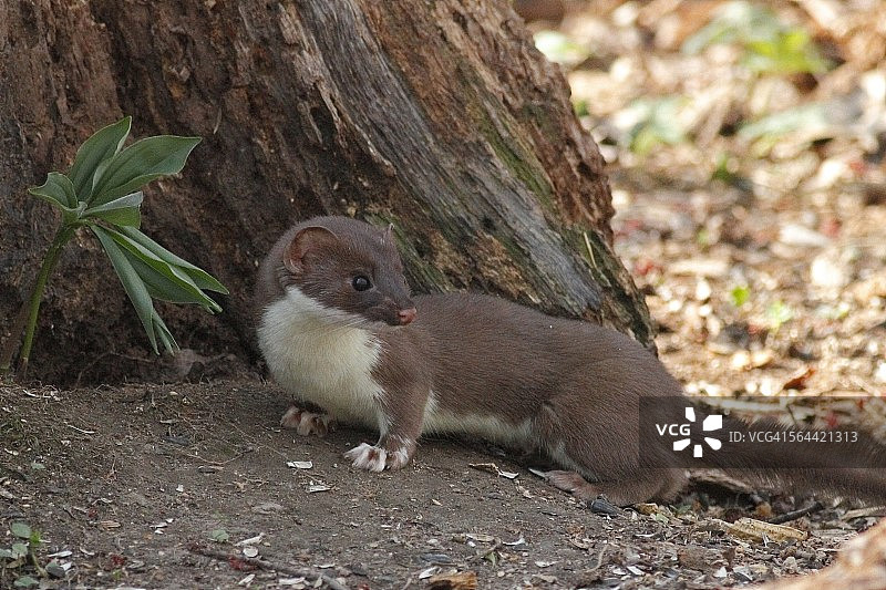 当心！图片素材