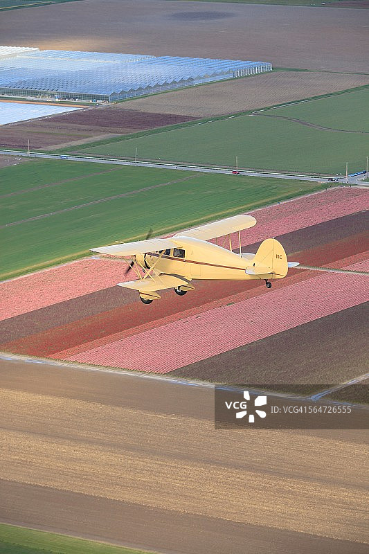 双翼飞机飞越花田图片素材