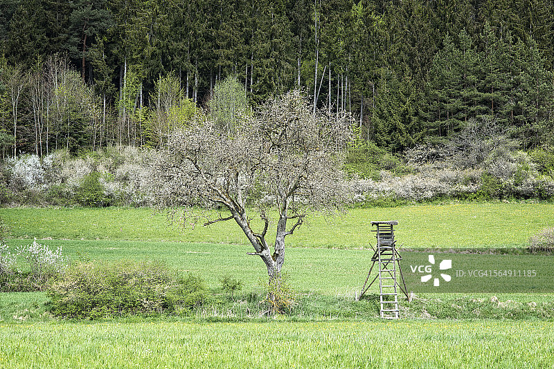 田野里的狩猎盲区图片素材