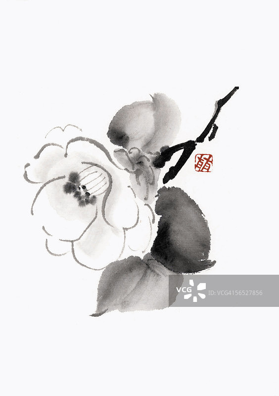 山茶花图片素材